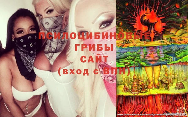 спайс Алексеевка