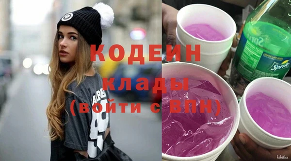 хмурый Алзамай