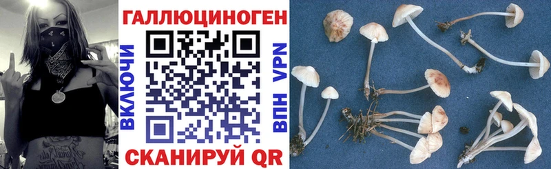мега рабочий сайт Олонец нарко площадка официальный сайт Галлюциногенные грибы ЛСД